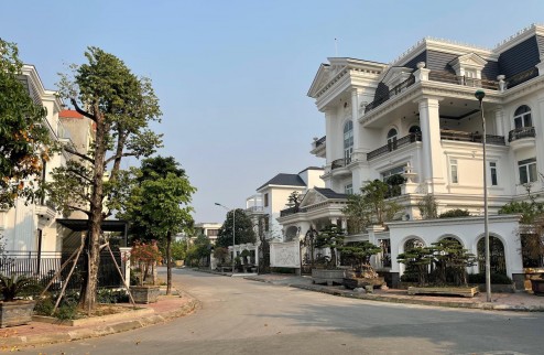 Khu đô thị đáng sống bậc nhất VĨNH PHÚC - Lô Biệt thự 253m cực đẹp giá cực mềm.